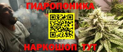 скорость Можга