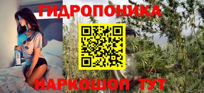 прущие крисы Моздок