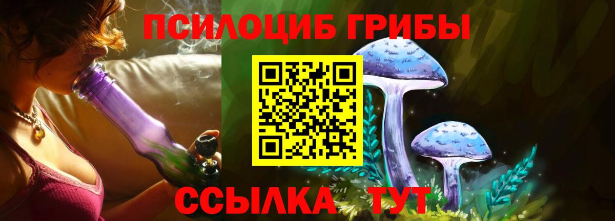 купить наркотик  Галлюциногенные грибы MAGIC MUSHROOMS  Углич  Вход с VPN  Псилоцибиновые грибы Magic Shrooms 