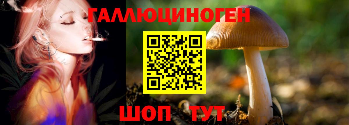 Галлюциногенные грибы мицелий Углич